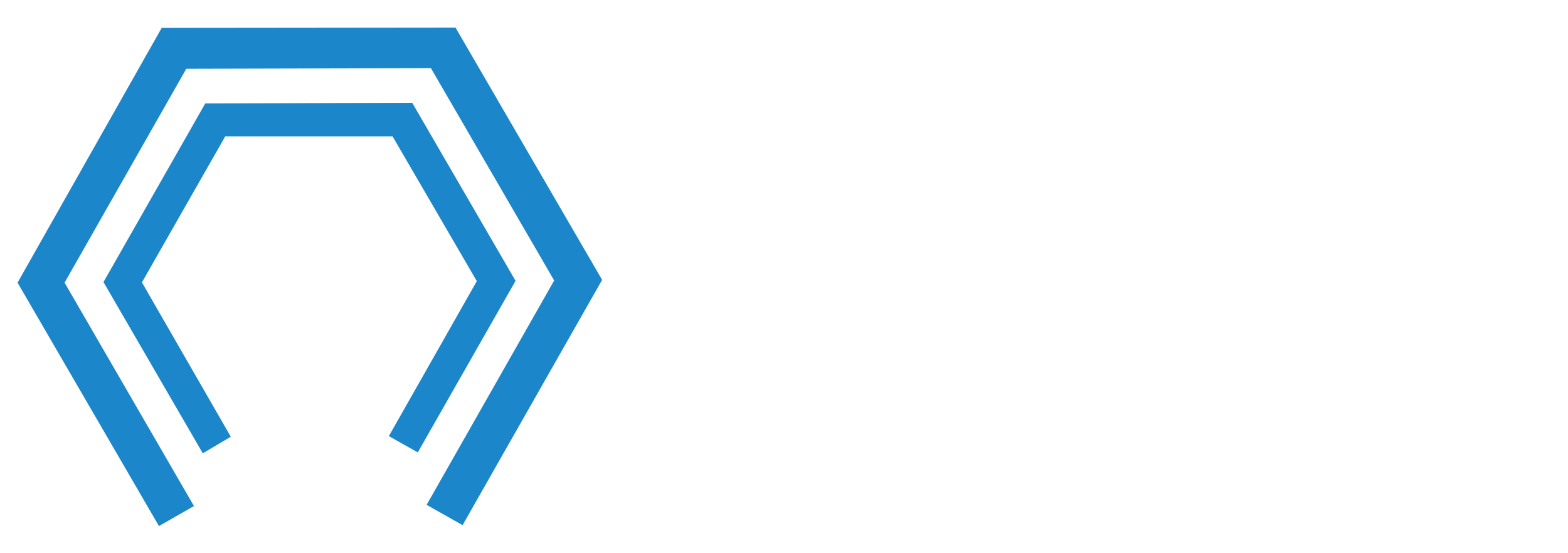 Chesapeake International Consulting